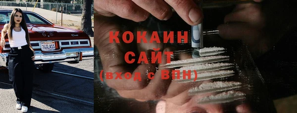 дживик Верея