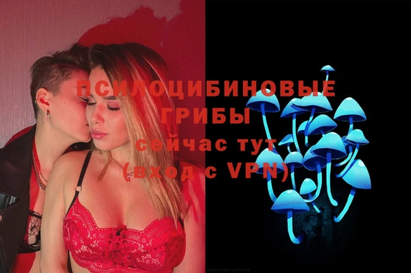 прущая мука Верхний Тагил