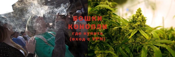 дживик Верея