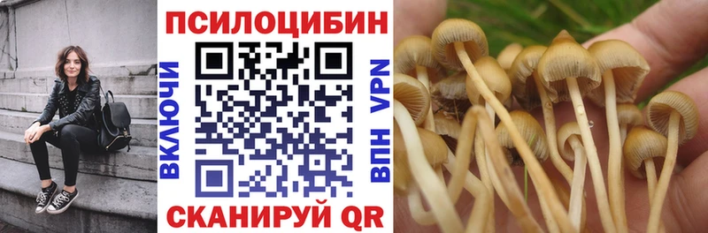 как найти закладки  darknet официальный сайт  Псилоцибиновые грибы ЛСД  Гагарин 